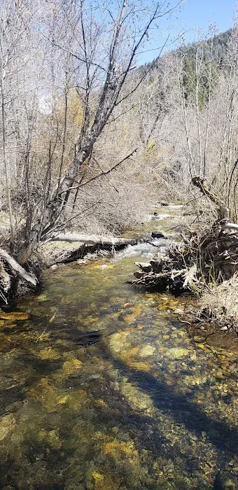 Sawmill Campground Picture 7