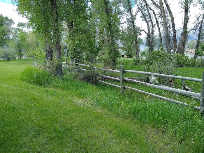 Mackay Tourist Park Picture 8