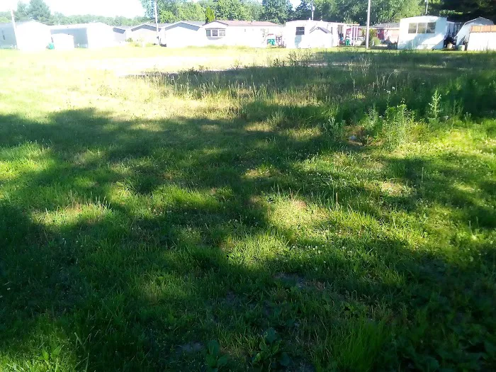 Ravinia Pines Picture 6