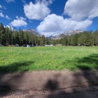 Loristica Group Campground ico
