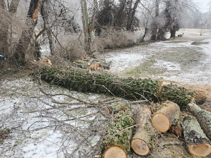 Pioneer Playhouse Rv campground Picture 5