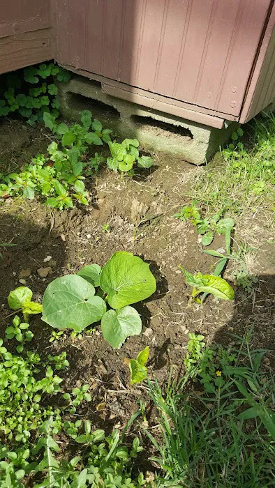 Imperial Estates Mobile Home Community Picture 3