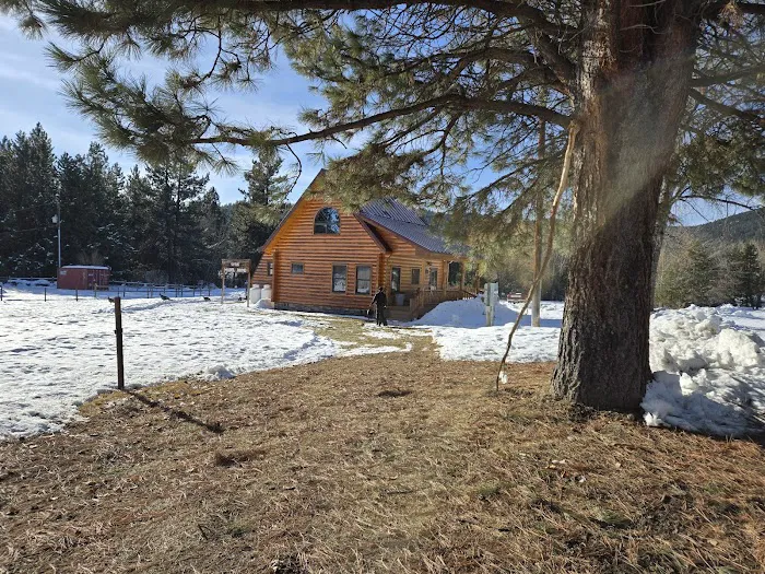 Gold Valley Log Cabin Picture 4