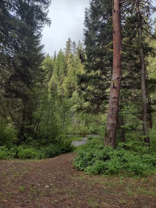 Deer Creek Campground Picture 2