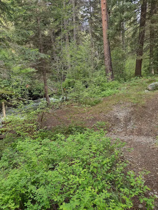 Deer Creek Campground Picture 3