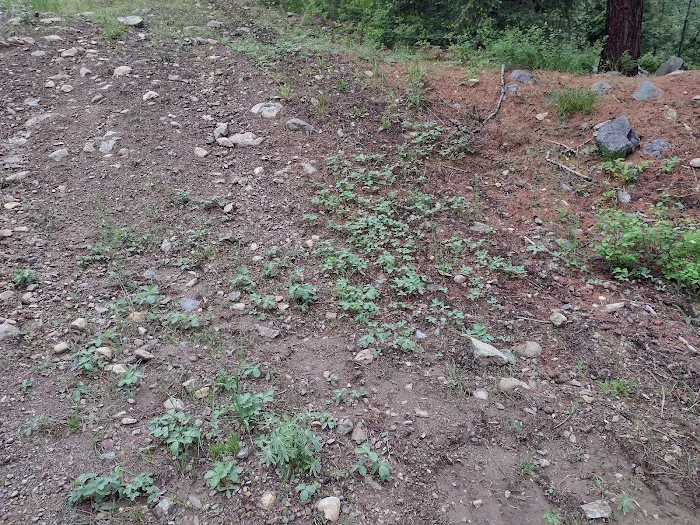 Deer Creek Campground Picture 4