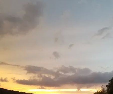 Riverside R.V.Sites A.K.A.Camp David/Hollywood Park