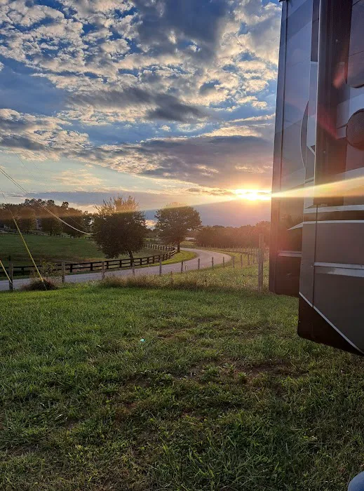 Southern Grace RV Park Picture 3