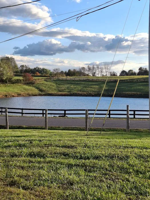 Southern Grace RV Park Picture 2