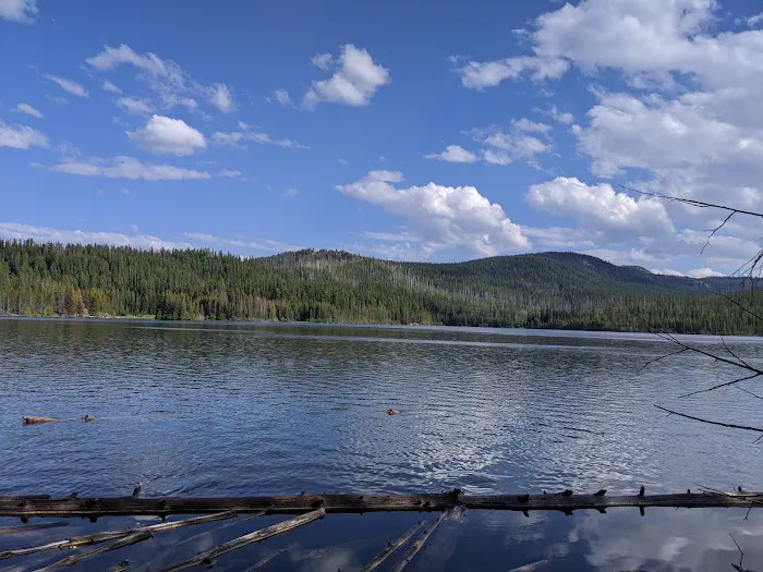 Olive Lake Campground Picture 1