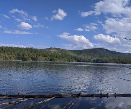 Olive Lake Campground