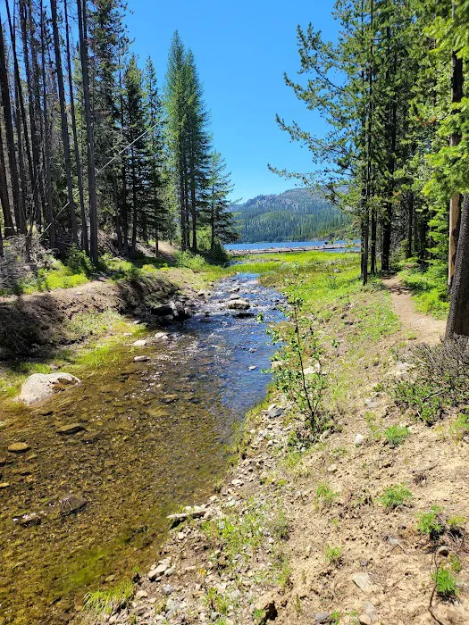 Olive Lake Campground Picture 3