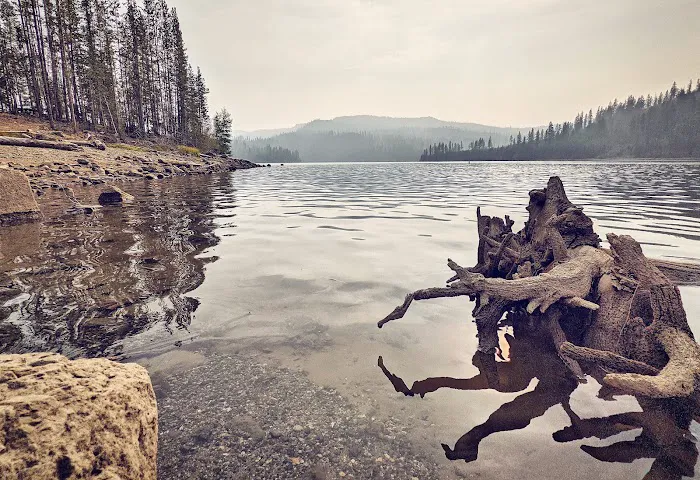 Olive Lake Campground Picture 10