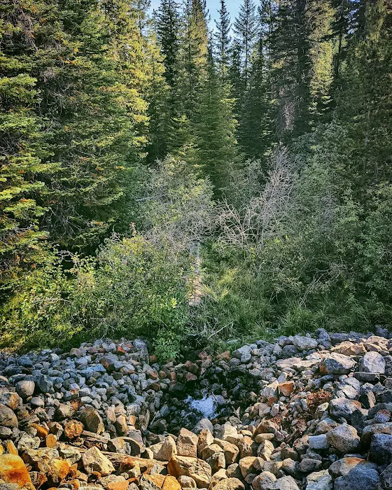 Olive Lake Campground Picture 5