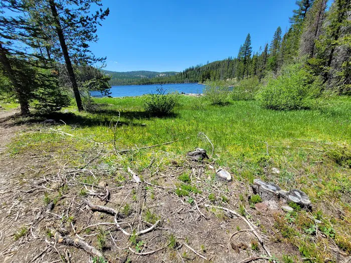 Olive Lake Campground Picture 7