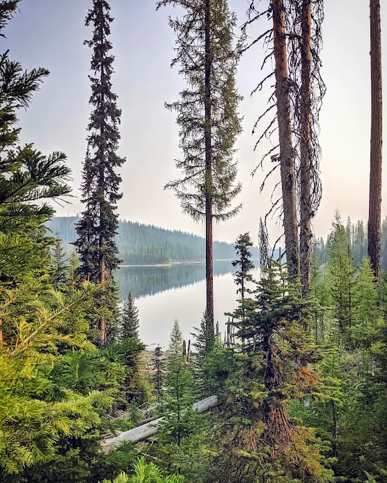 Olive Lake Campground Picture 4