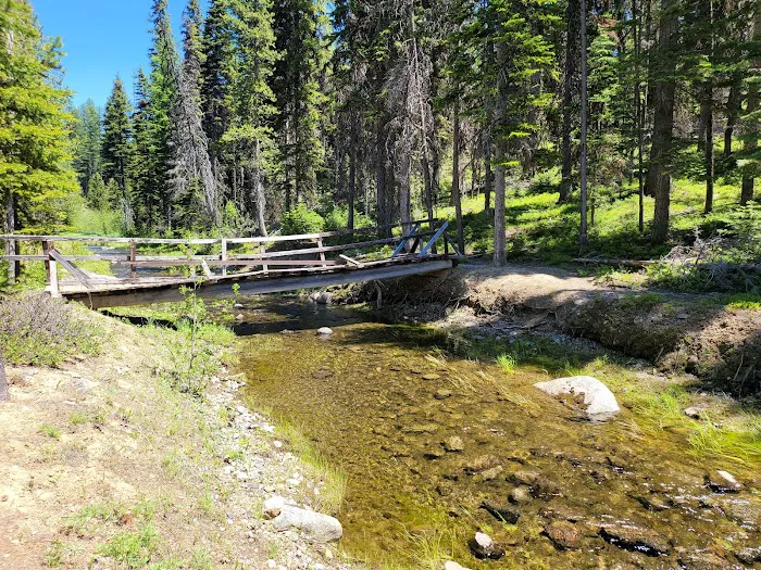 Olive Lake Campground Picture 6