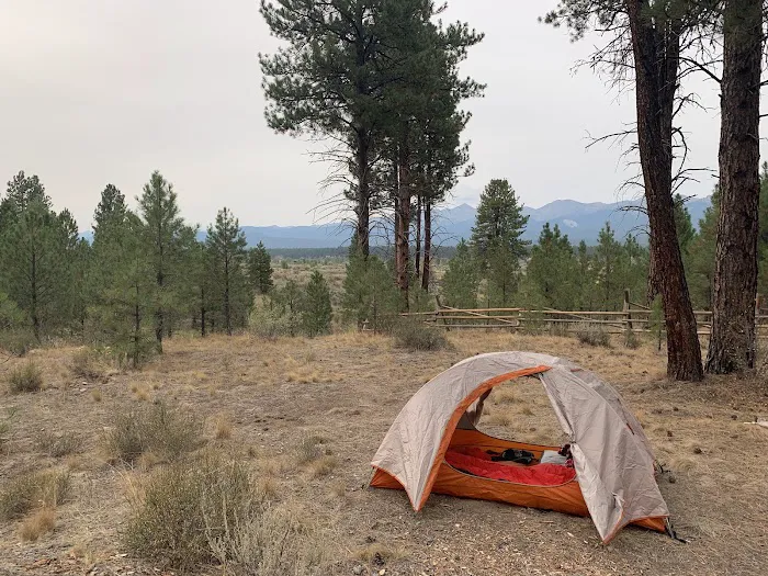 Southwest Shore Campground Picture 6