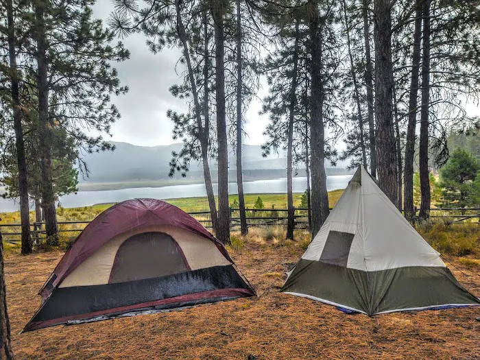 Millers Lane Campground Picture 4