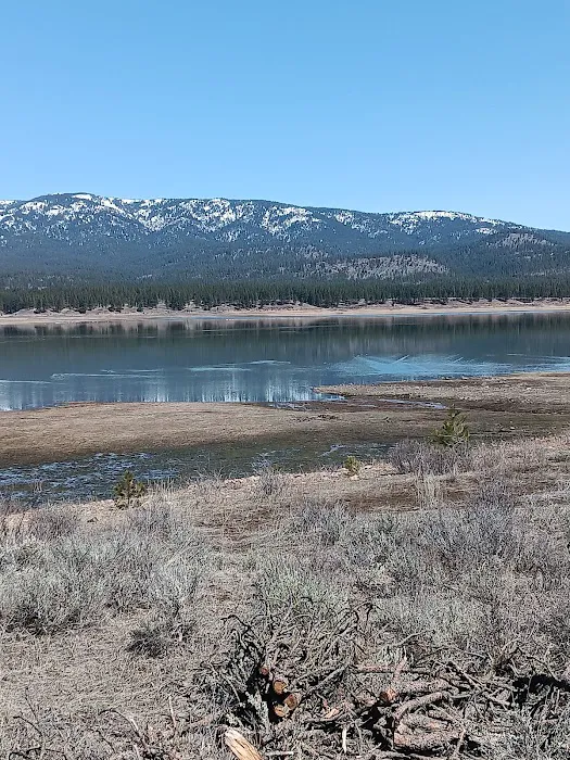 Millers Lane Campground Picture 9