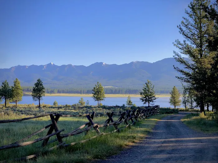 Millers Lane Campground Picture 7