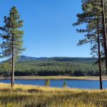 Union Creek Campground