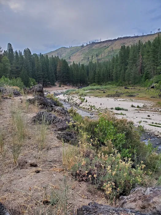 Evans Creek Campground Picture 4