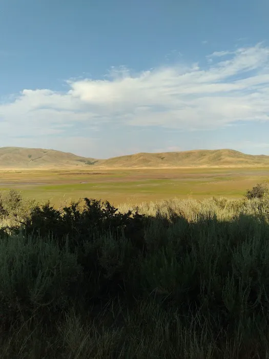 Little Camas Reservoir Campground Picture 4