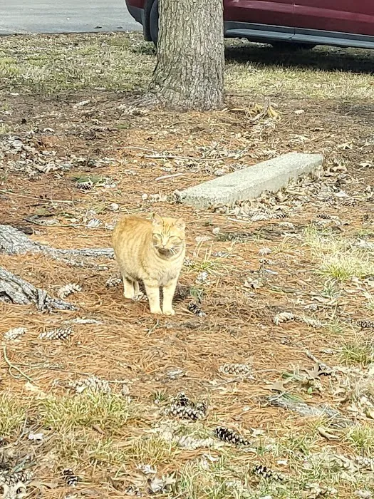 Southland Mobile Home Community Picture 3