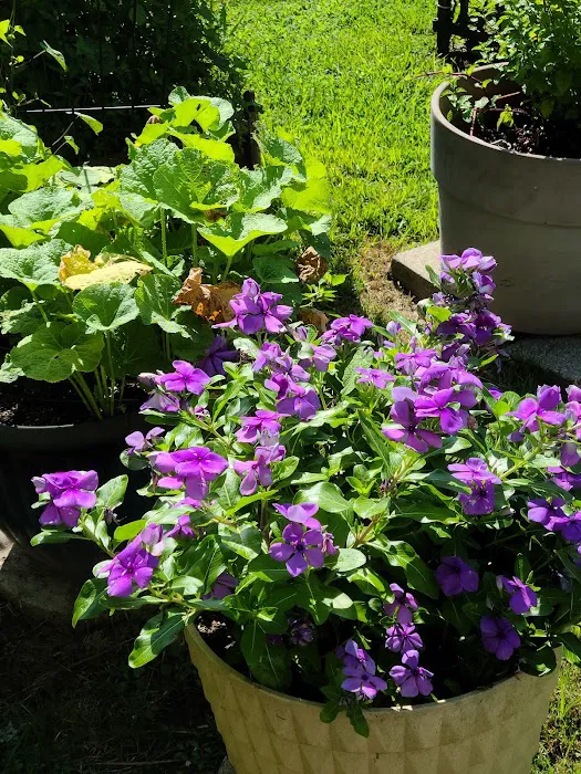 Brookfield Louisville Pointe Mobile Home Park Picture 3