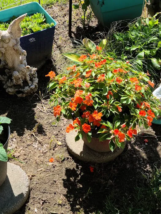 Brookfield Louisville Pointe Mobile Home Park Picture 10