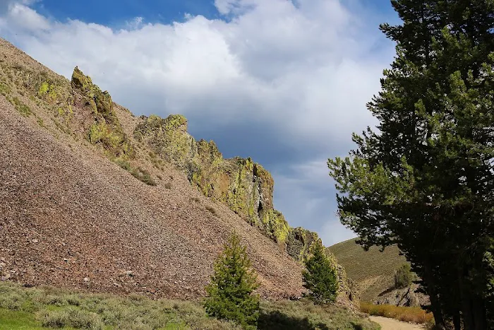 Carrie Creek Campground Picture 2