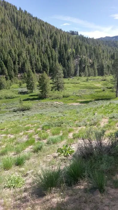 Carrie Creek Campground Picture 1