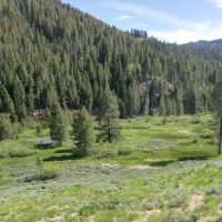 Carrie Creek Campground ico