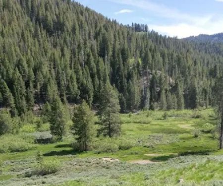 Carrie Creek Campground