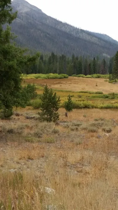 East Fork Baker Creek Campground Picture 1