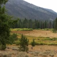 East Fork Baker Creek Campground ico