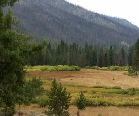 East Fork Baker Creek Campground