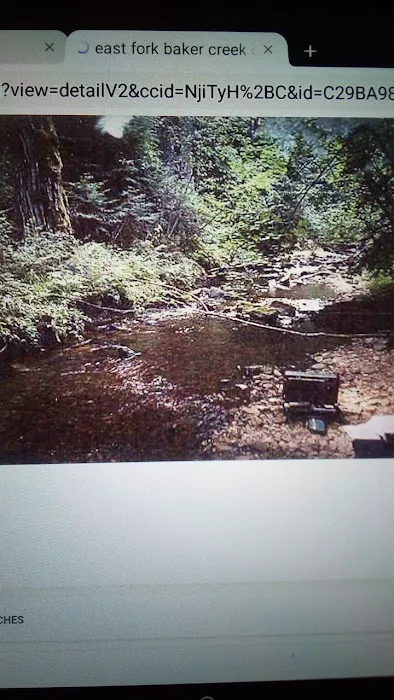 East Fork Baker Creek Campground Picture 5