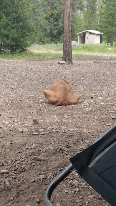 East Fork Baker Creek Campground Picture 4