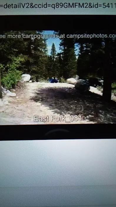 East Fork Baker Creek Campground Picture 6