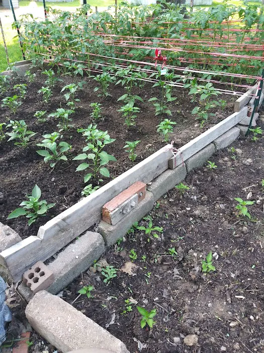 Holiday MHC Picture 7