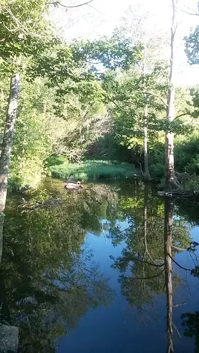 Cedar Heights Mobile Home Park (Allen Properties) Picture 8