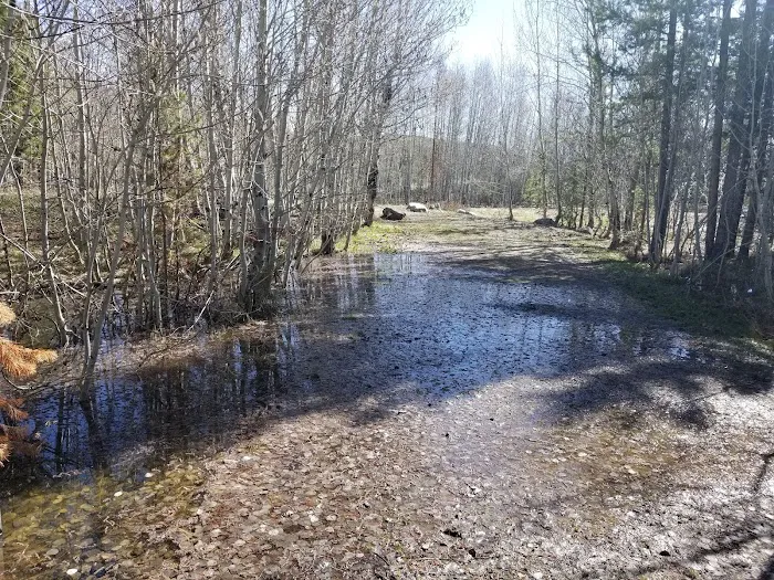 Easley Campground Picture 8
