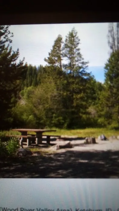 Easley Campground Picture 3
