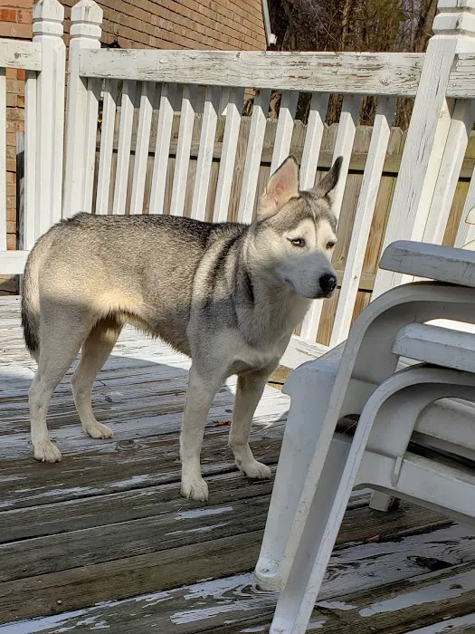 Preston Village Picture 4