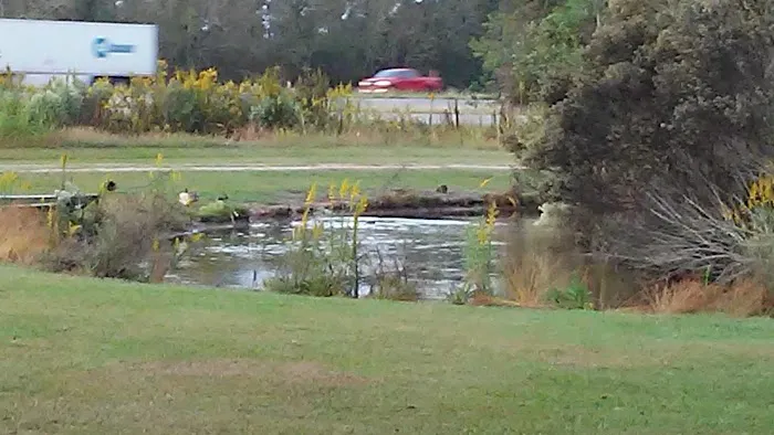 Whispering Oaks Mobile Home Park Picture 10