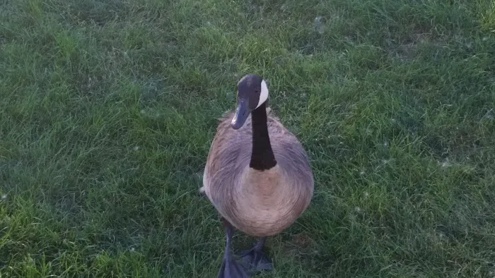 Bayside Estates Picture 7