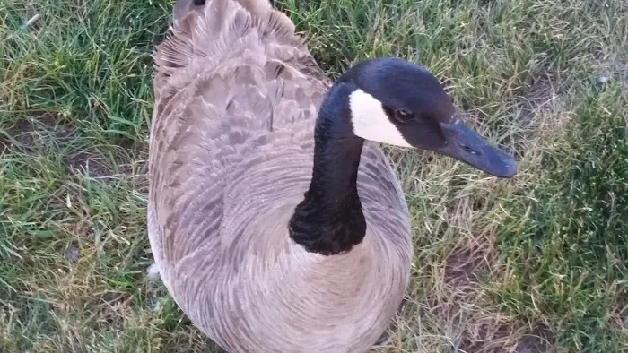 Bayside Estates Picture 9