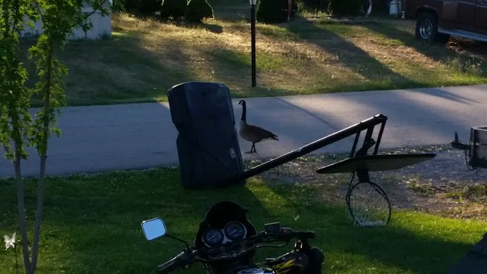 Bayside Estates Picture 10